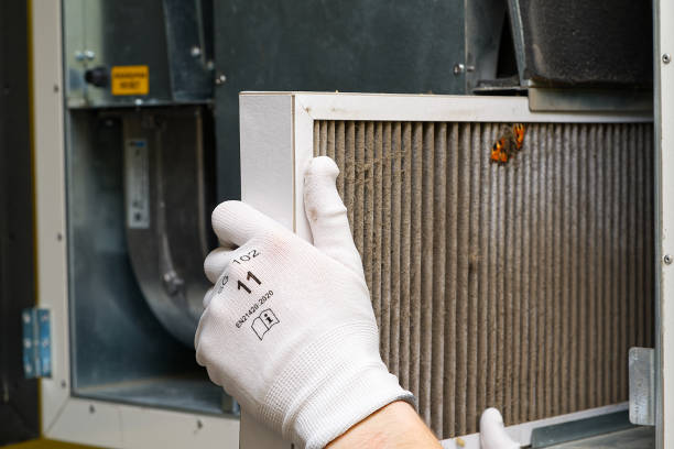 Best Duct Cleaning Specialists  in East Tawas, MI