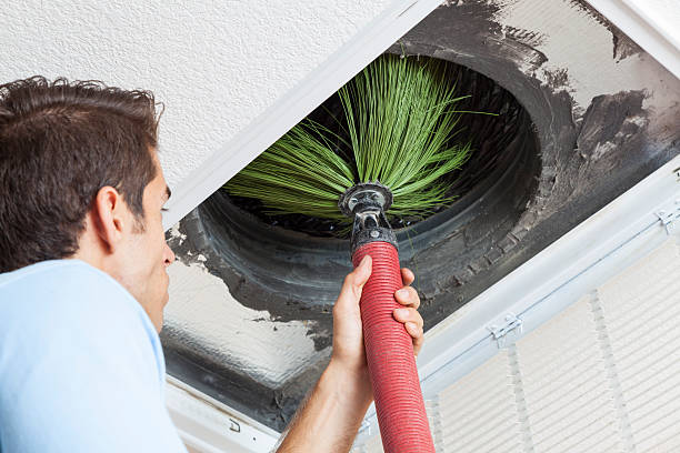 Best Home Air Vent Cleaning  in East Tawas, MI